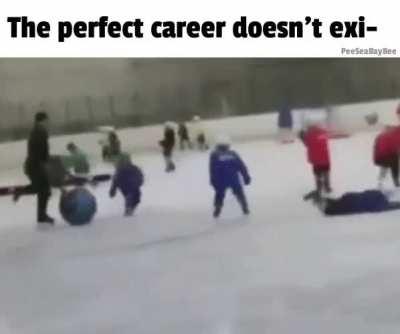 Perfect career