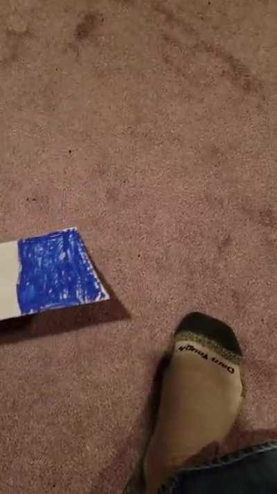 LEAST BASED UPSTATE NEW YORKER DESTROYS EURO FLAG 🤮🤮🤮🤮🤮