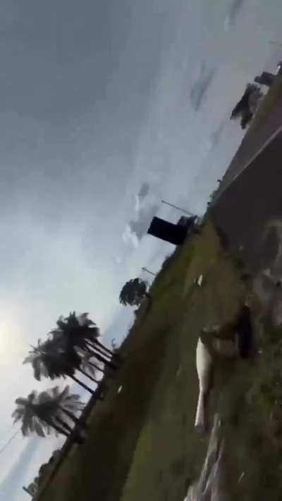 Alguém tem mais informações sobre esse video? Existe gente burra assim ou foi feito de propósito pra ganhar views?