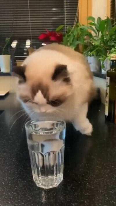 Water tastes so much better