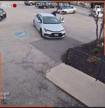 Goose won’t let woman go to work.