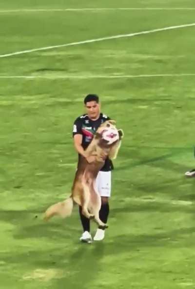 Time to PAWS the match