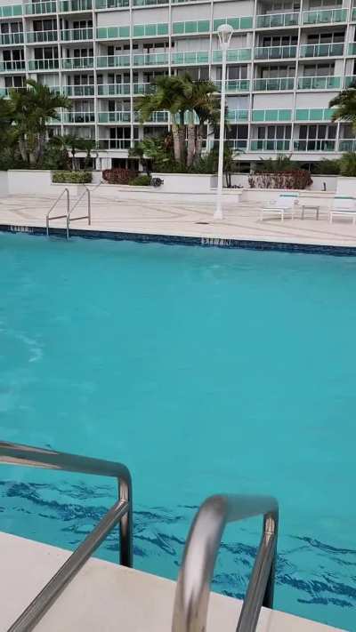 Verrry windy today in Fort Lauderdale. Blowing from the East, you can see what it does to water. I wouldn't suggest boating with this type of chop!