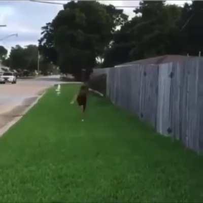 It was all going so well!