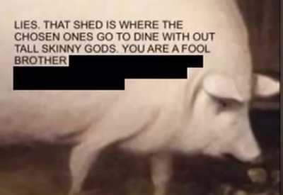 Saw this on r/pigs and thought it may be enjoyed here as well.