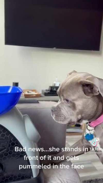 Don’t worry, she’ll figure it out