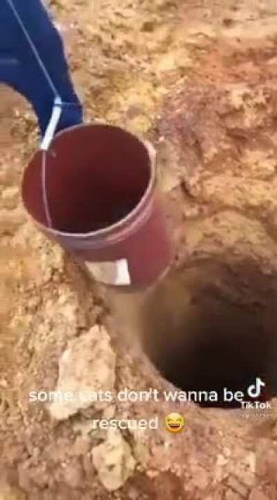 What I imagine my squad-mates experience when playing with (reviving) me.