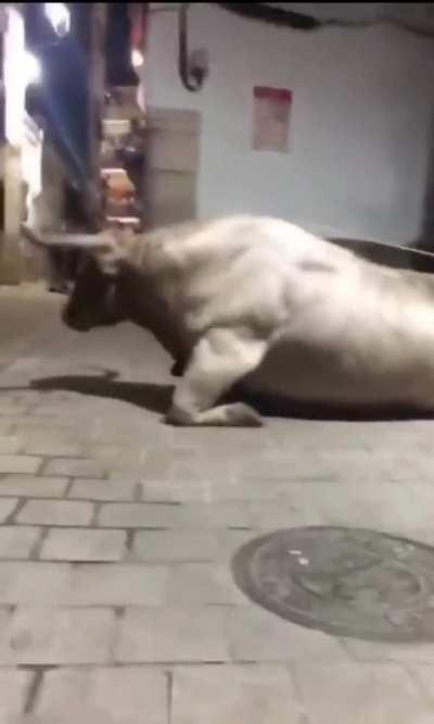 Is there better audio of this leak        (ignore the video)