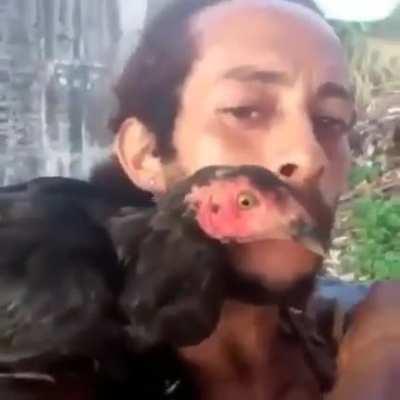 Papagaio raro fds kkkkkkkkkkkkk