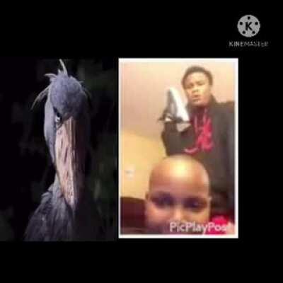 This was better when I came up with it in my mind