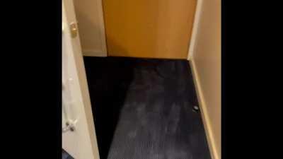 Left in a hotel room