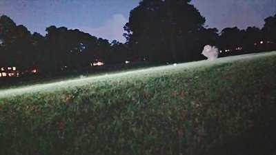 Great Horned Owl catching a mouse in my backyard