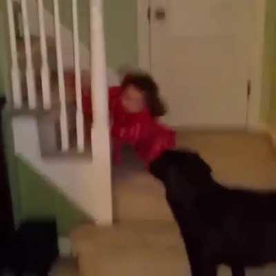 Watch that first step, it's a doozy!