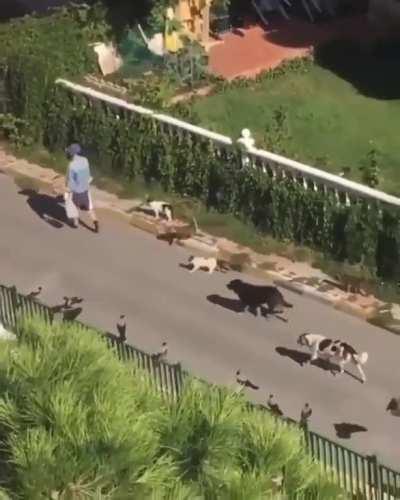 This dude's got a whole frickin army!