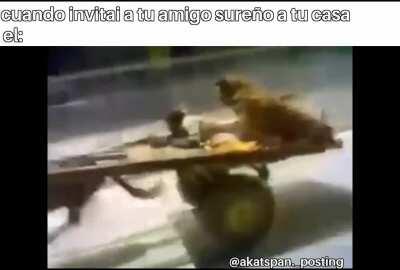 Invite a un amigo de la araucania a mi casa y yo vivo en santiago XDDDDDDD