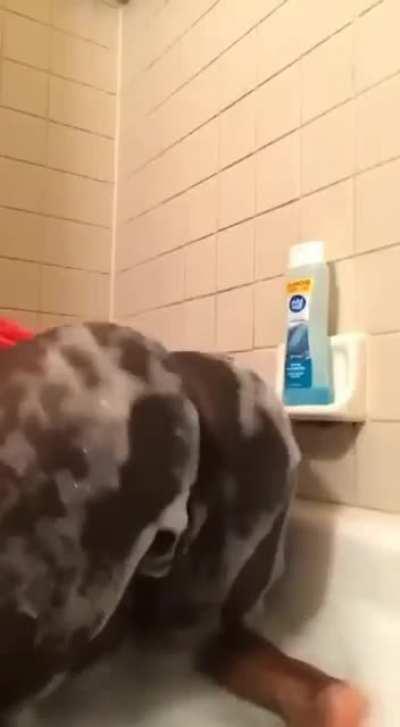 Ebony twerk videos 💦 Megalinks & dropboxes for sale hit my dms all content available. Daily deals and specials ✅