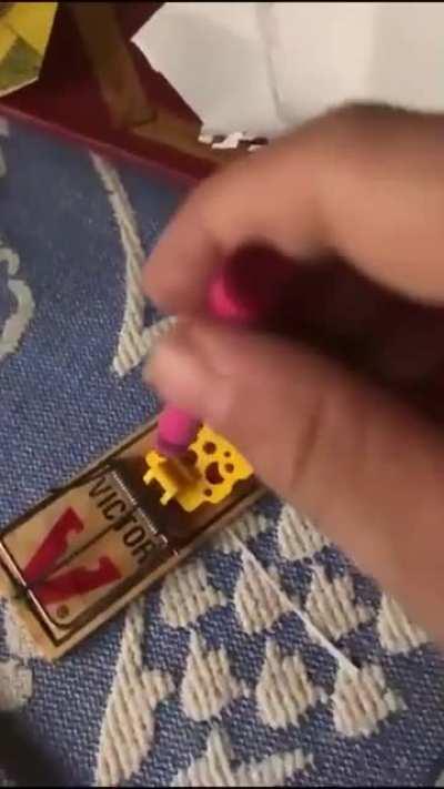 HMJB while I play with a mouse trap and a crayon