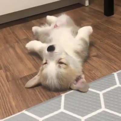 Me when my alarm goes off 😂😴⁠