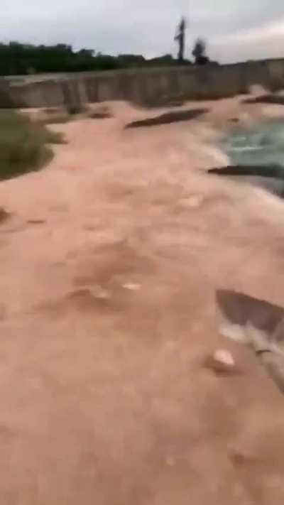 Ande cabron tome pendejo!