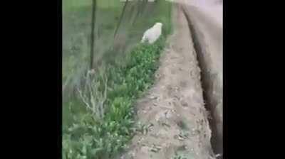 Me in life...sigh...