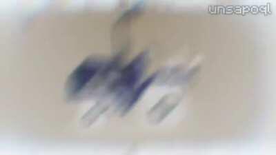 Pollito pio es una referencia a jojo's 🗿