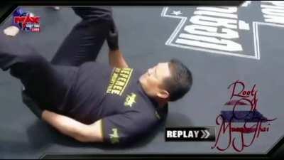 Both Referee and fighter gets TKO’d.