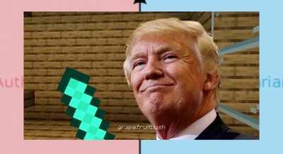 Authright and Authleft play some Minecraft