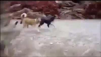 How the tables have turned