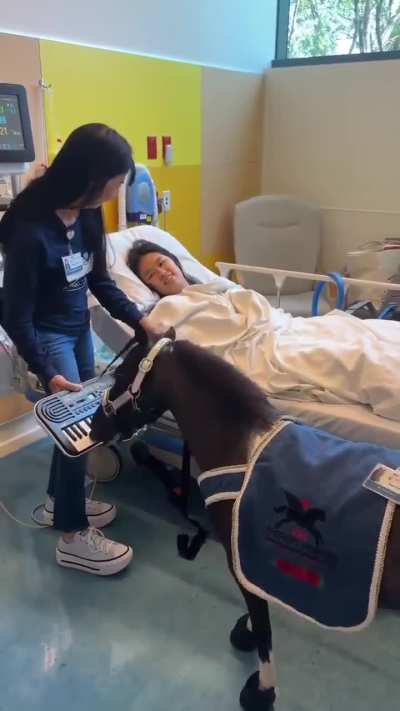 Stupid ass h*rse is evil and bad at playing piano