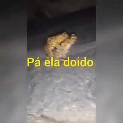 eita bixu secsu hihihihi