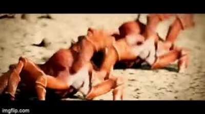 Redditors when TikTok gets banned