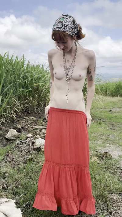 preparing to enter the harvest