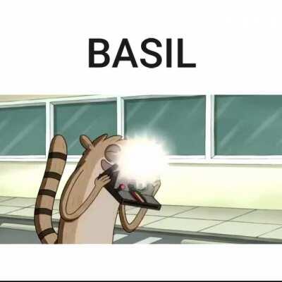 BASIL BE LIKE WHEN MARI