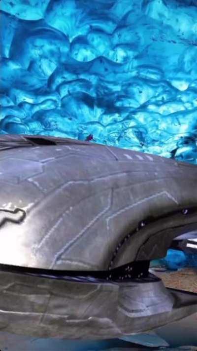 Uncle_dijon on ig with some survival tips