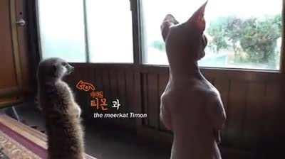 Глянь-ка, Василий, у тя глаза–то помоложе будут