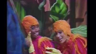 Passarinho from hell