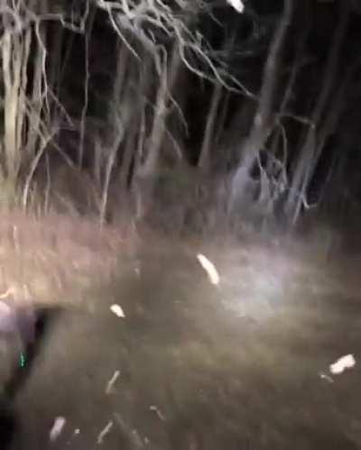 H o g k I l l I n g t I m e