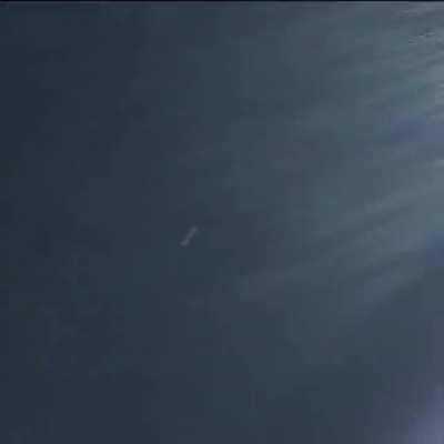 Foul ball hits a mascot