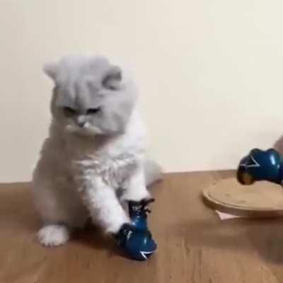 take aim and let rip