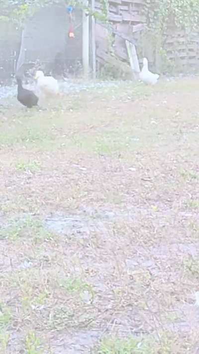 Flaptoberfest incoming!