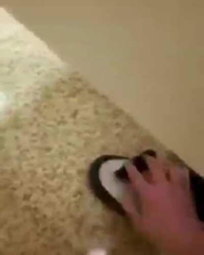 This is why I miss school