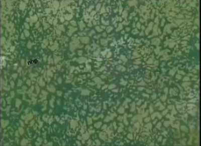 PATRICK YOUR GLASS IS FULL