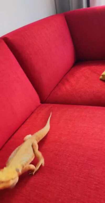 When you fail, just run away