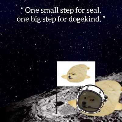 le complete archived video footage has arrived