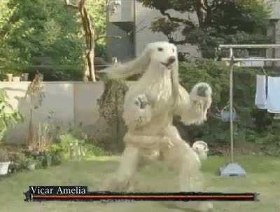 The current bane of my existence