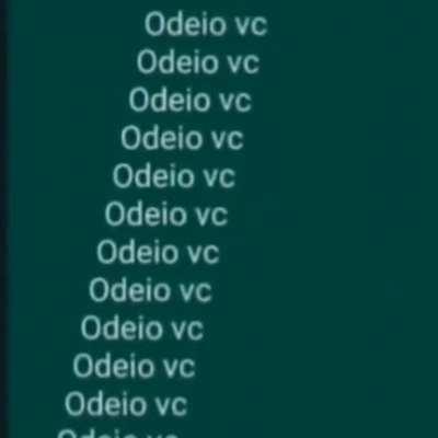 Meus amigos todo dia: