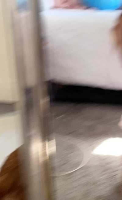 Hope they're not too small for you?