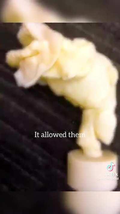 It allowed then to produce a single sound....