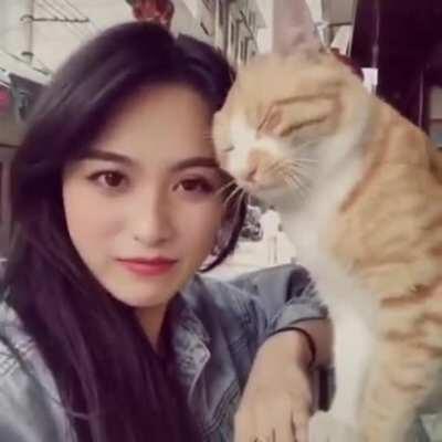 Aggressively friendly cat