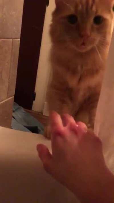 I can’t tell if he wants to save me or join me